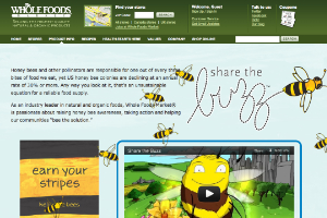 screenshot of homepage of Share the Buzz website