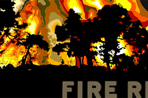 screenshot of homepage of Fire Relief, The Concert for Central Texas website
