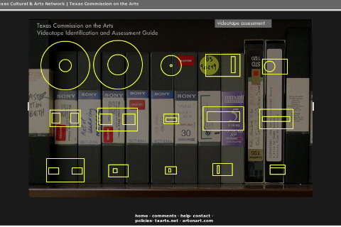 screenshot of homepage of TCA Videotape Identification & Assessment Guide website